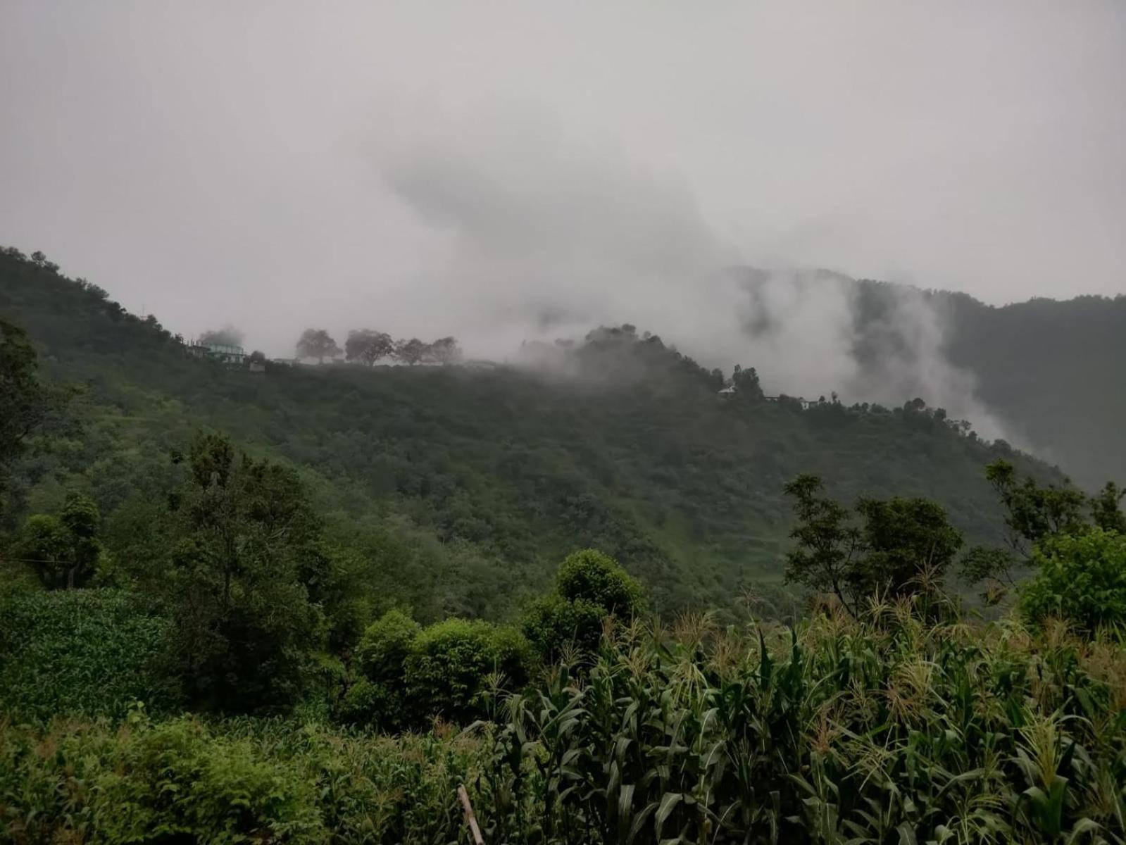 Hotel Le Halcyon , Kasauli Solan Exterior photo
